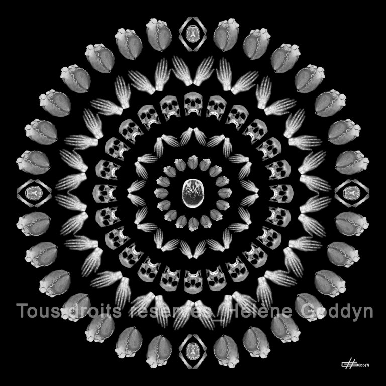 Mandala-Humain-CELESTE_Helene-Goddyn
