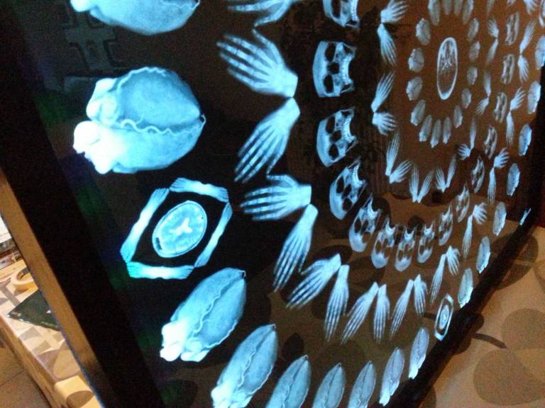 Mandala-Humain-CELESTE_Helene-Goddyn_1-metre-retro-eclaire