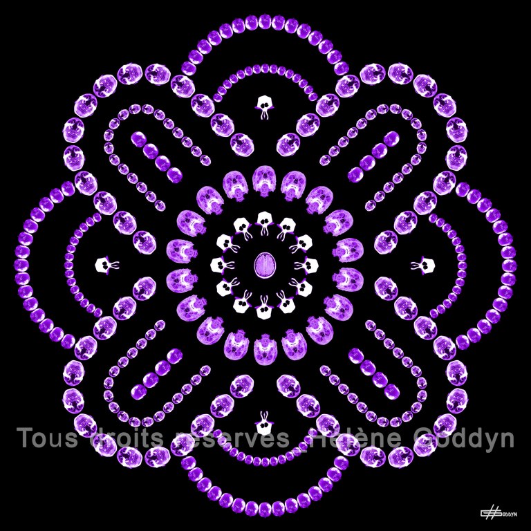 Mandala-Humain-EQUILIBRE_Helene-Goddyn