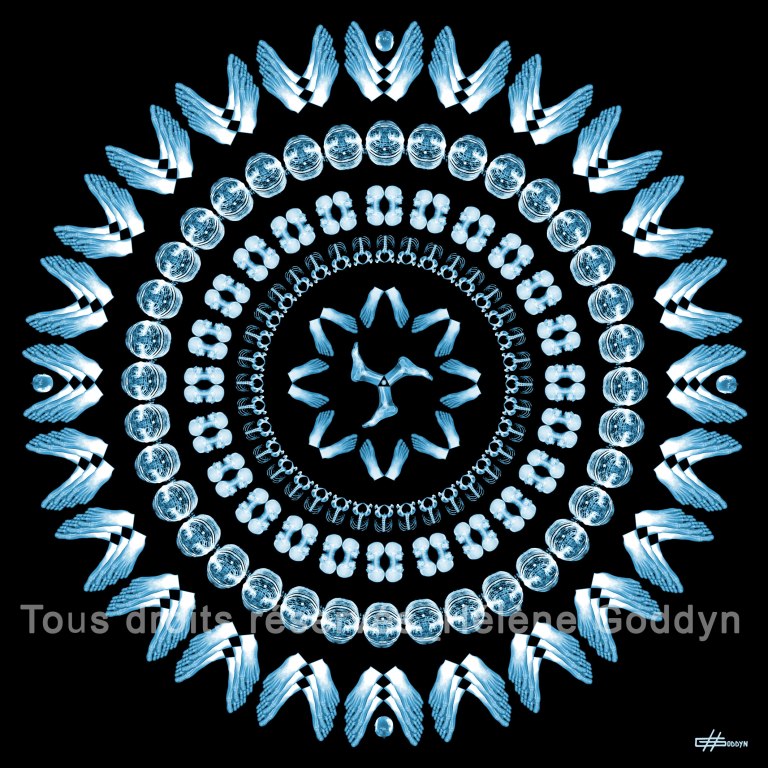 Mandala-Humain-HARMONIE_Helene-Goddyn