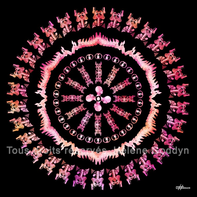 Mandala-Humain-IMAGINE_Hélène-Goddyn