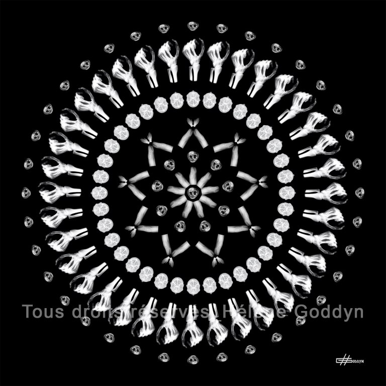 Mandala-Humain-Métamorphose_Helene-Goddyn