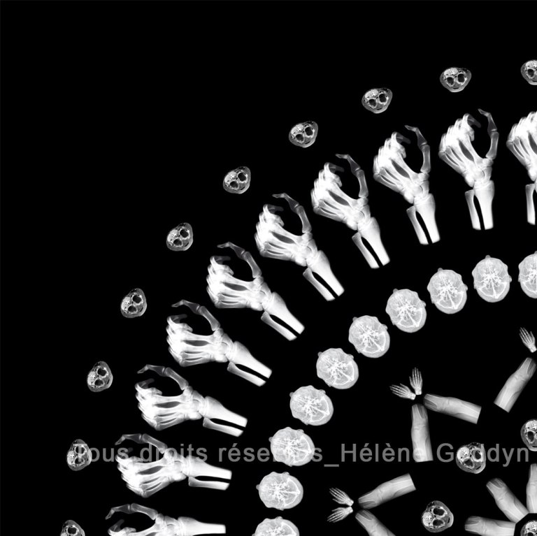 Mandala-Humain-Métamorphose_Helene-Goddyn_zoom