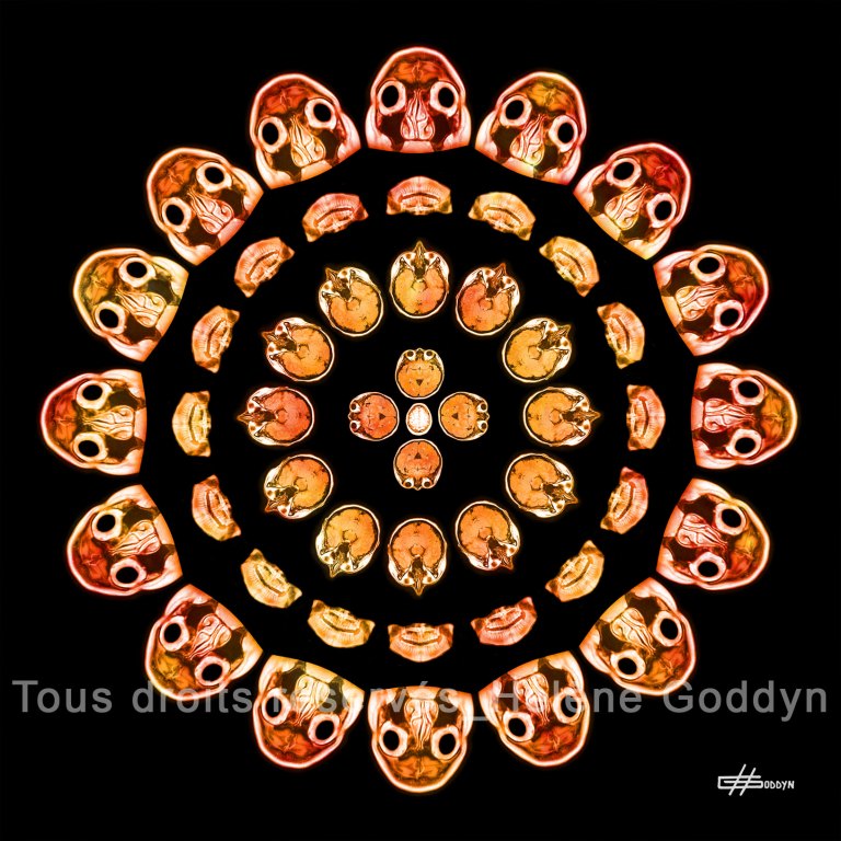 Mandala-Humain-Reflexion_Helene-Goddyn