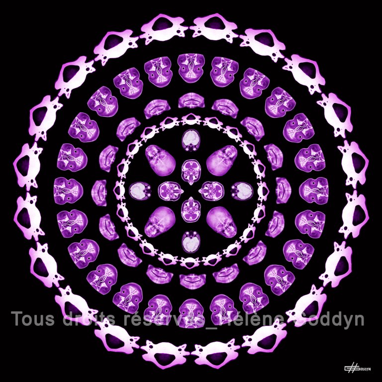 Mandala-Humain-SPIRIT_Helene-Goddyn