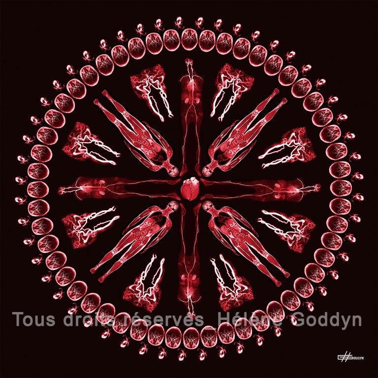 Mandala-Humain-VEINE_Helene-Goddyn