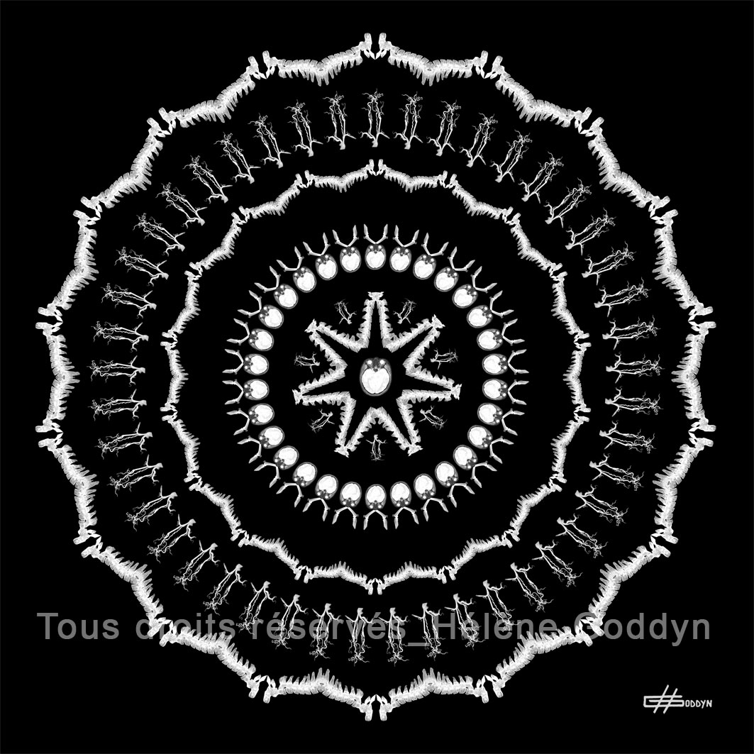 Mandala-Humain-VIBRATION_Helene-Goddyn