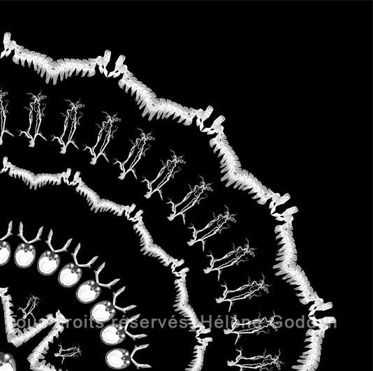 Mandala-Humain-VIBRATION_Helene-Goddyn_ZOOM