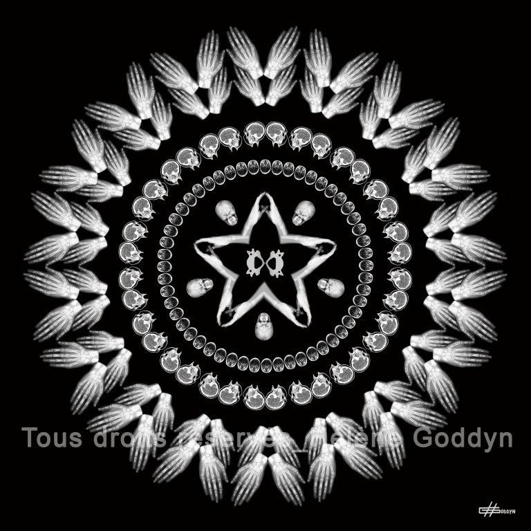 Mandala-Humain-VISION_Helene-Goddyn