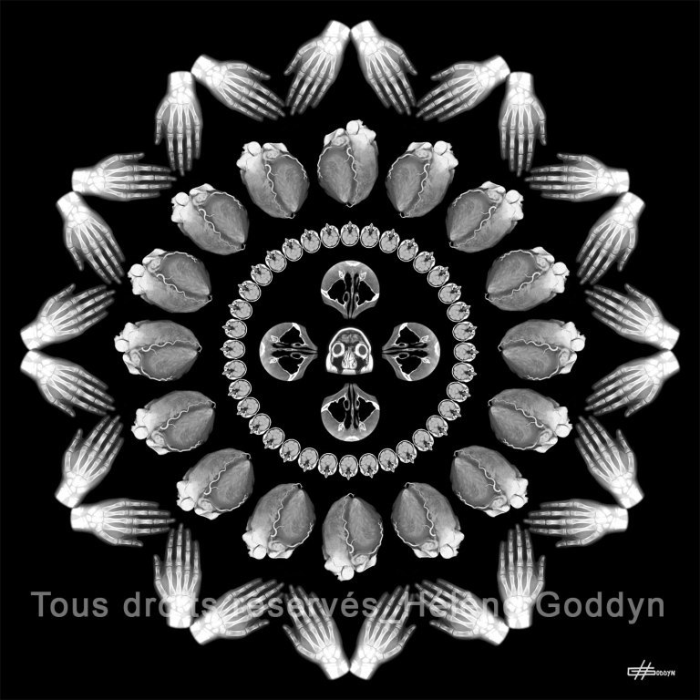 Mandala-Humain-VOLUPTE_Helene-Goddyn