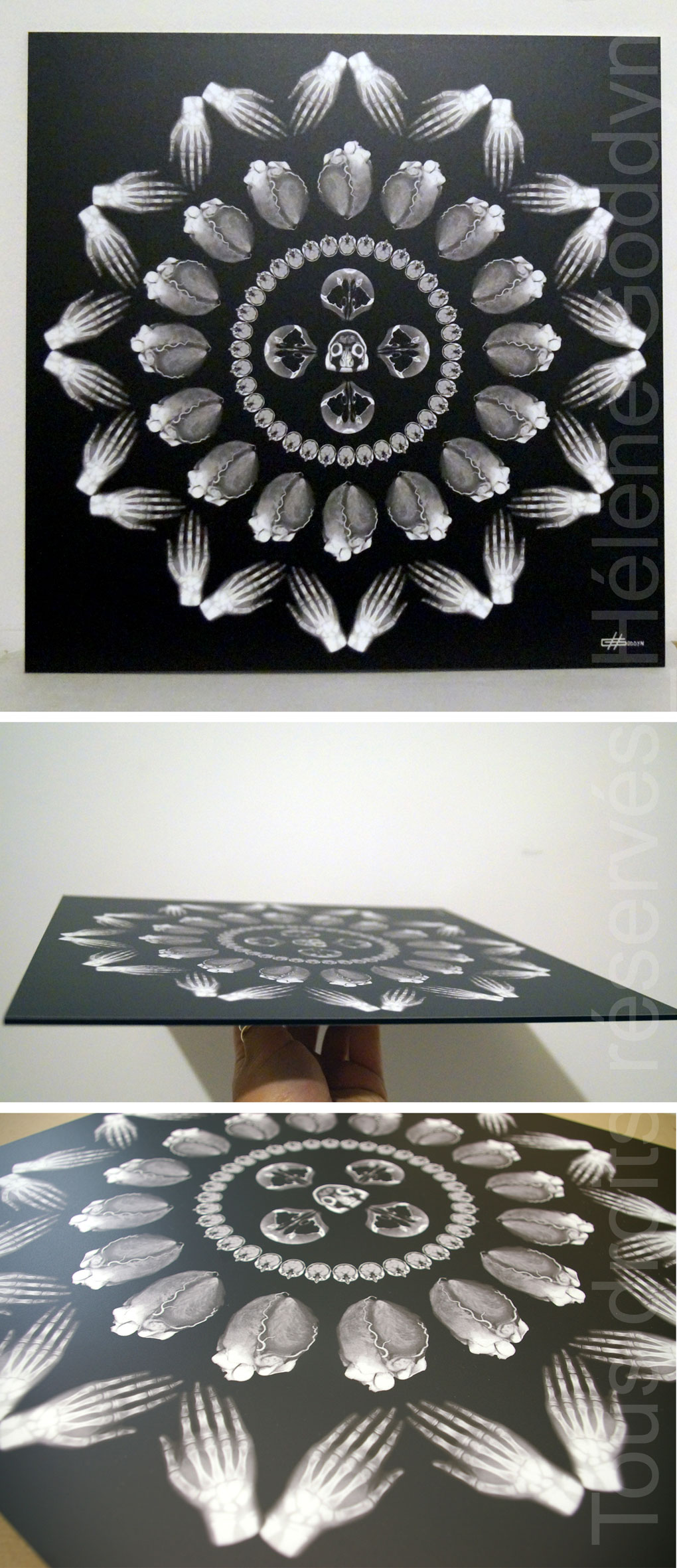 Mandala-Humain-VOLUPTE_helene-goddyn_photo-contrecolle-dibond