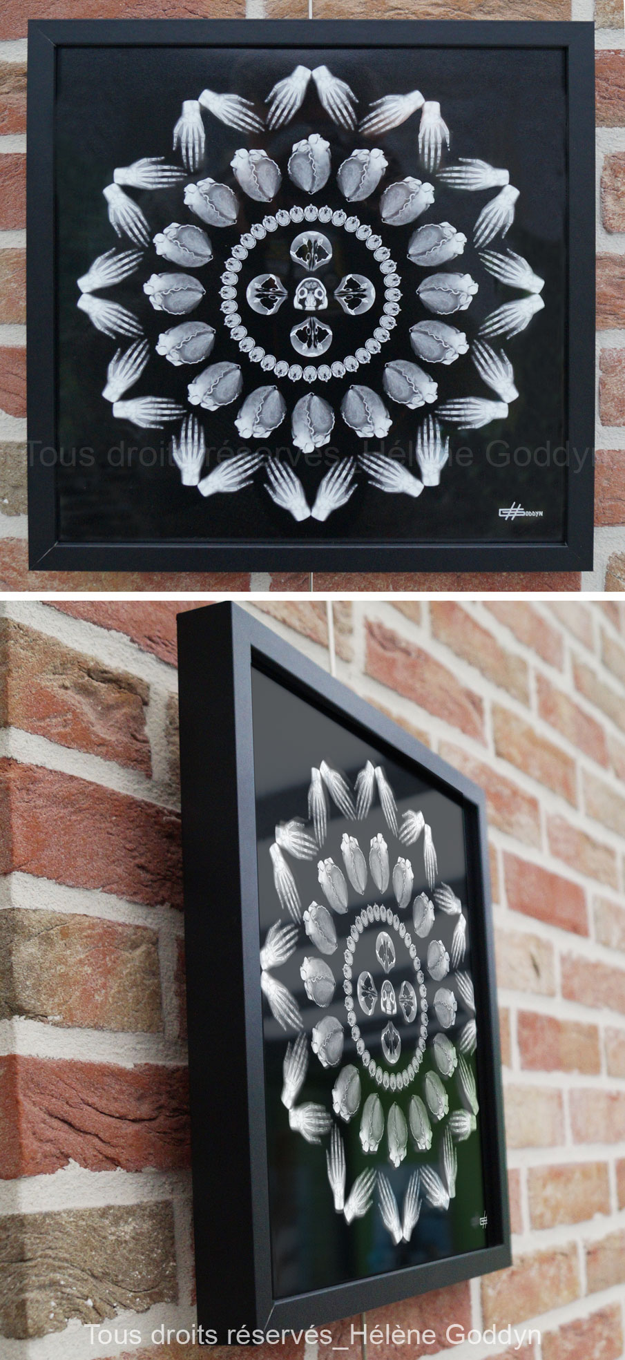 Mandala-Humain-VOLUPTE_helene-goddyn_photo-sous-cadre