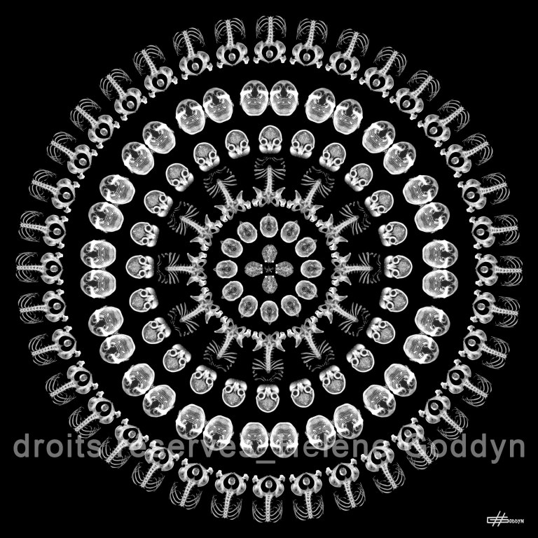 Mandala-Humain-VOYAGE_Hélène-Goddyn_ok