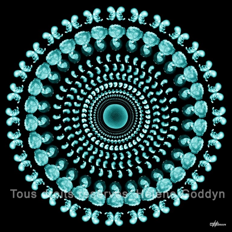 Mandala-Humain-WONDERFUL-LIFE_Helene-Goddyn