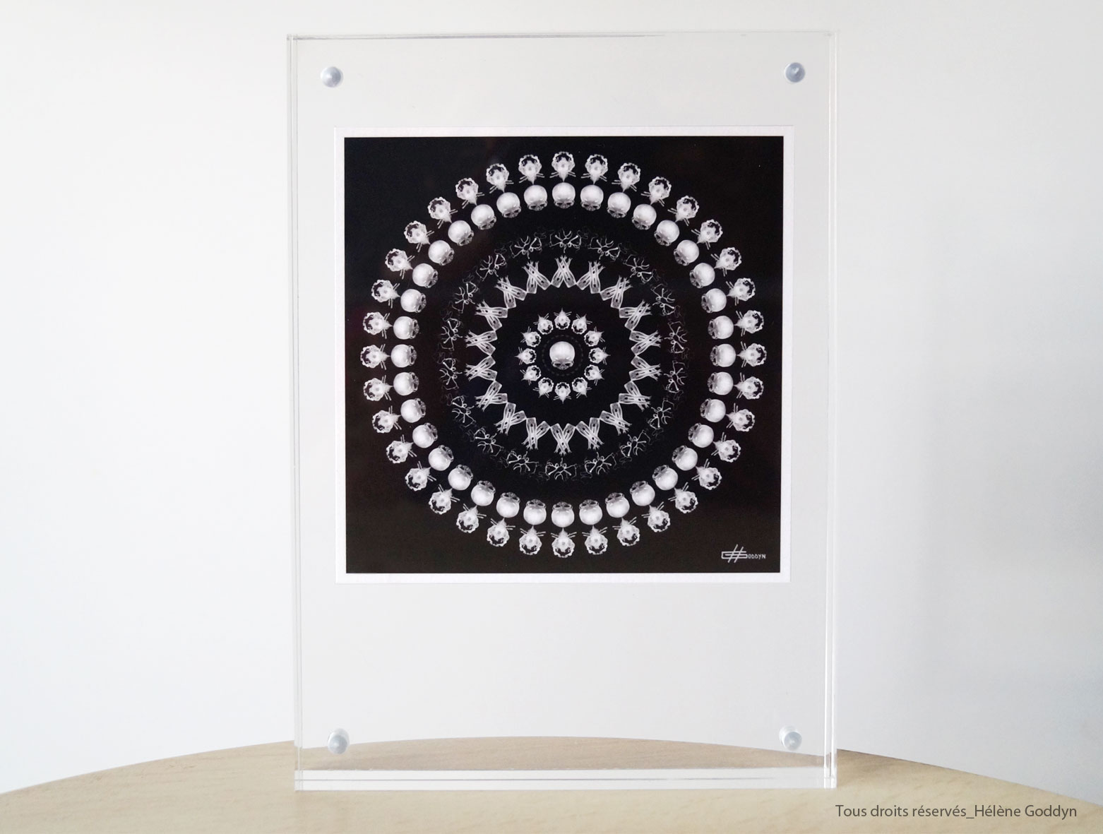 Mandala-Humain_ETRE_Helene-Goddyn