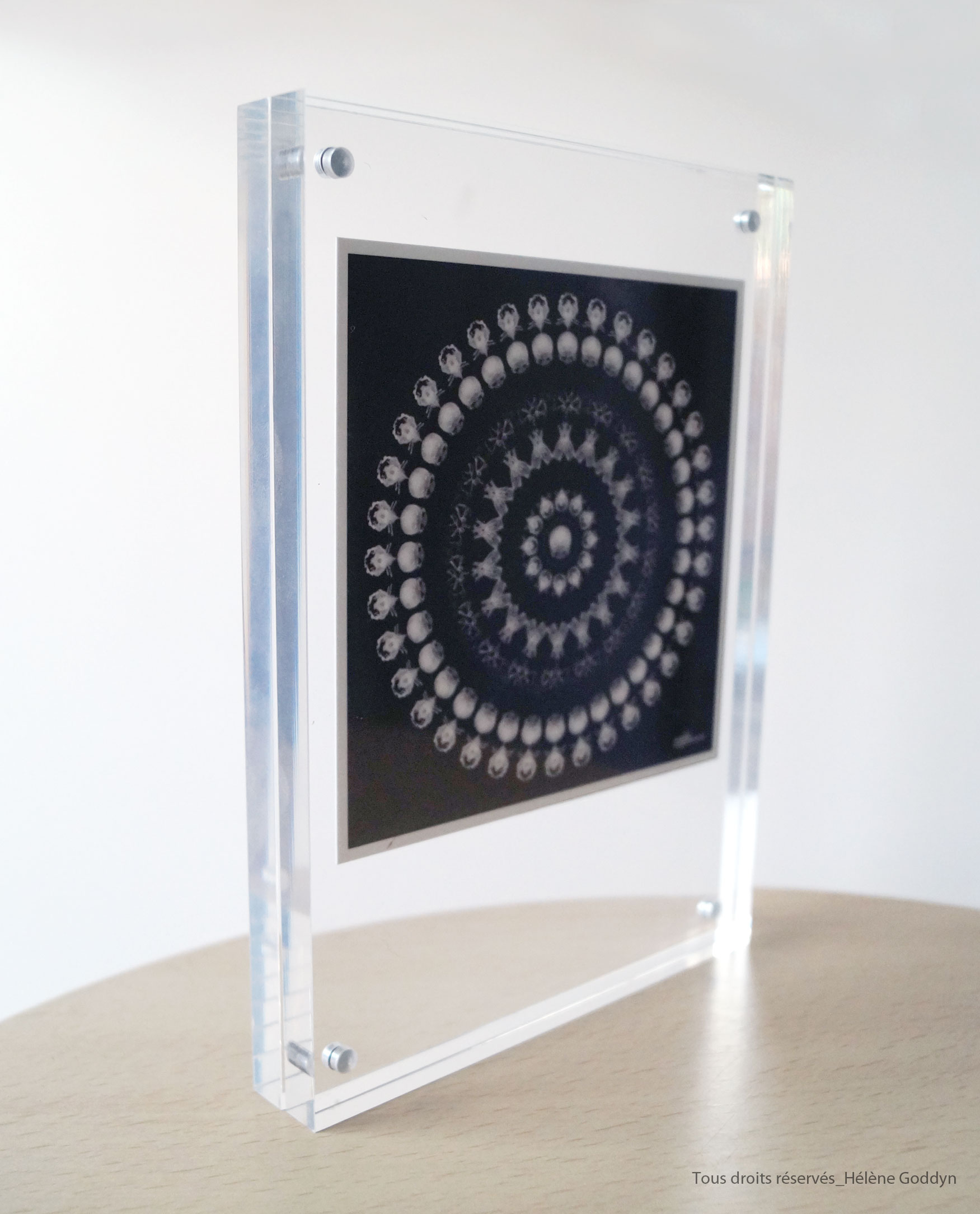 Mandala-Humain_ETRE_Helene-Goddyn_profil