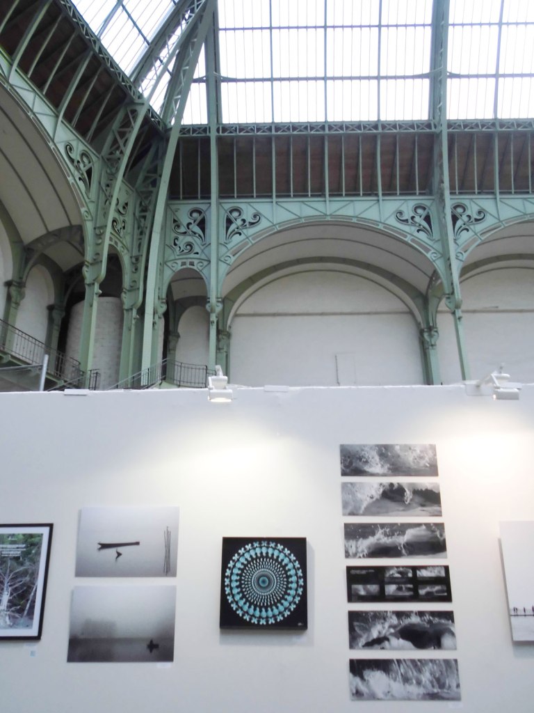 salon-des-artistes-francais_art-en-capital_grand-palais_france_champs-elysées_helene-goddyn_mandala-humain_wonderful-life_mandala_art-sacré-et-image-medicale-2