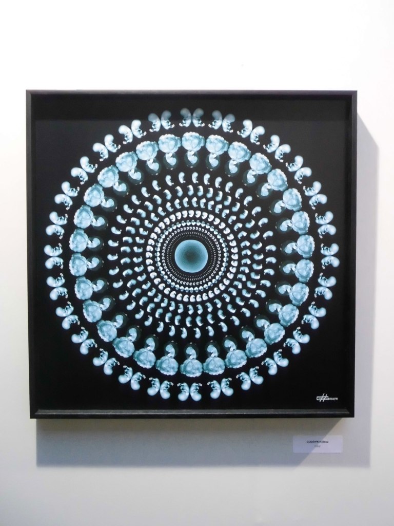 salon des artistes francais_art-en-capital_grand-palais_france_champs-elysées_helene-goddyn_mandala-humain_wonderful-life_mandala_art-sacré-et-image-medicale