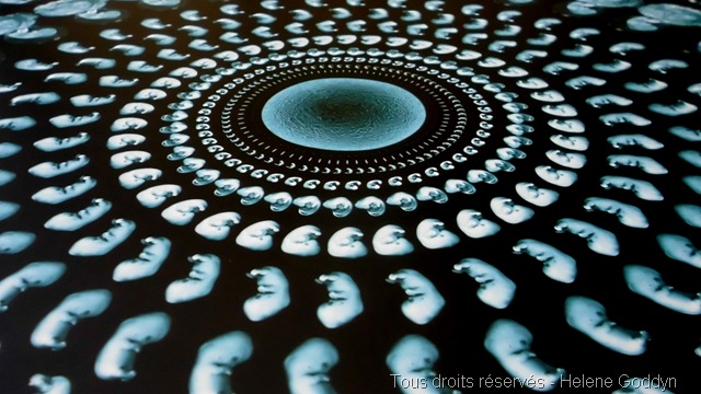 wonderful-life-helene goddyn-zoom1