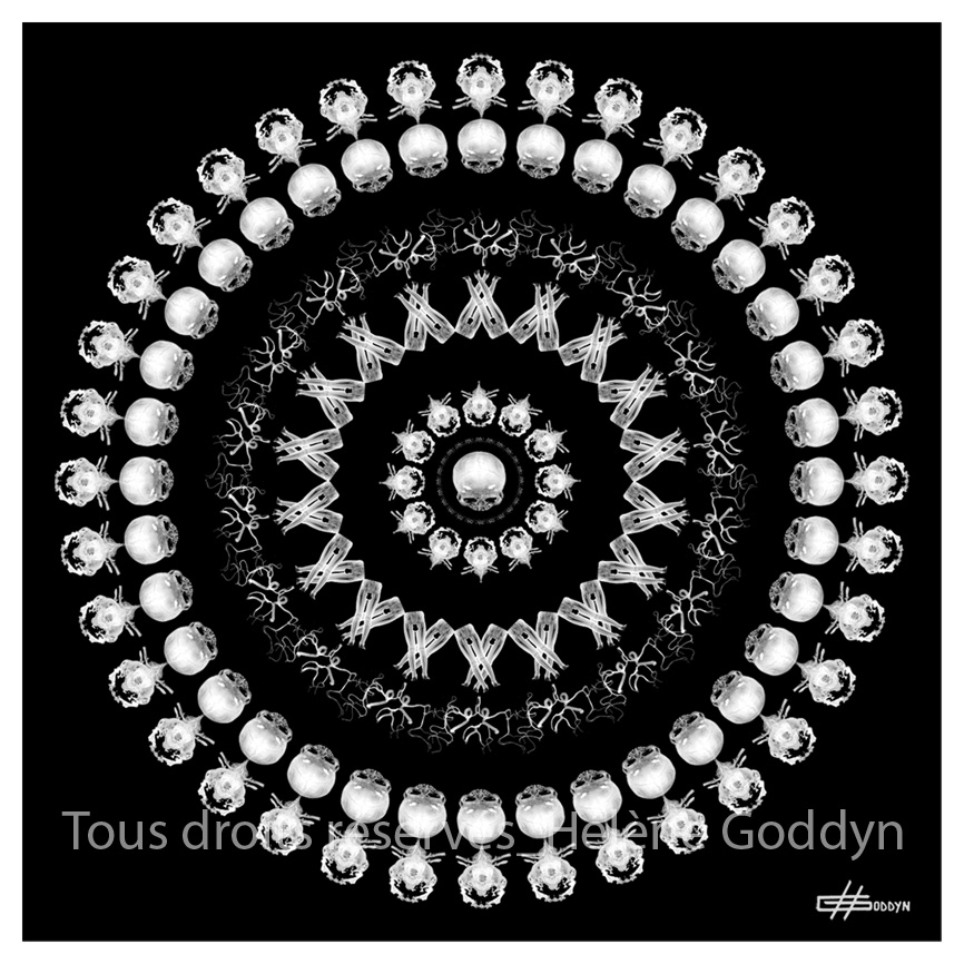 Mandala-Humain-ETRE_Helene-Goddyn